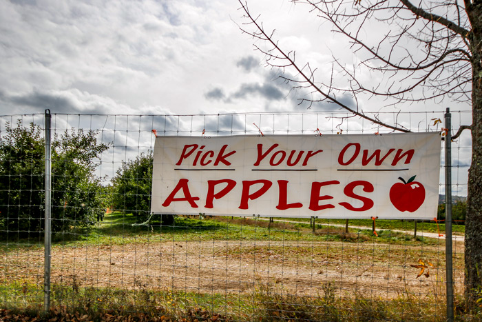 Pick Your Own Apples