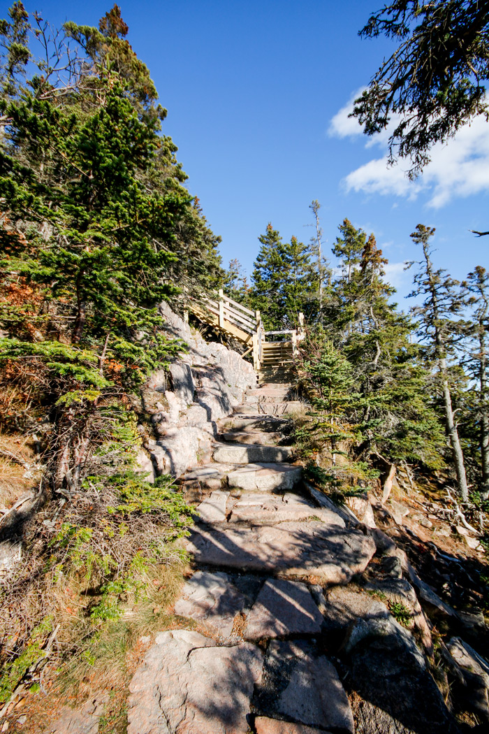 Steps To The Lighthouse