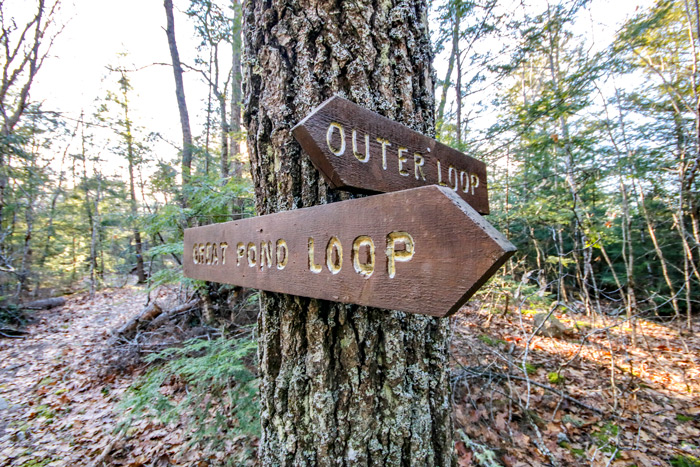 Trail Loop Sign