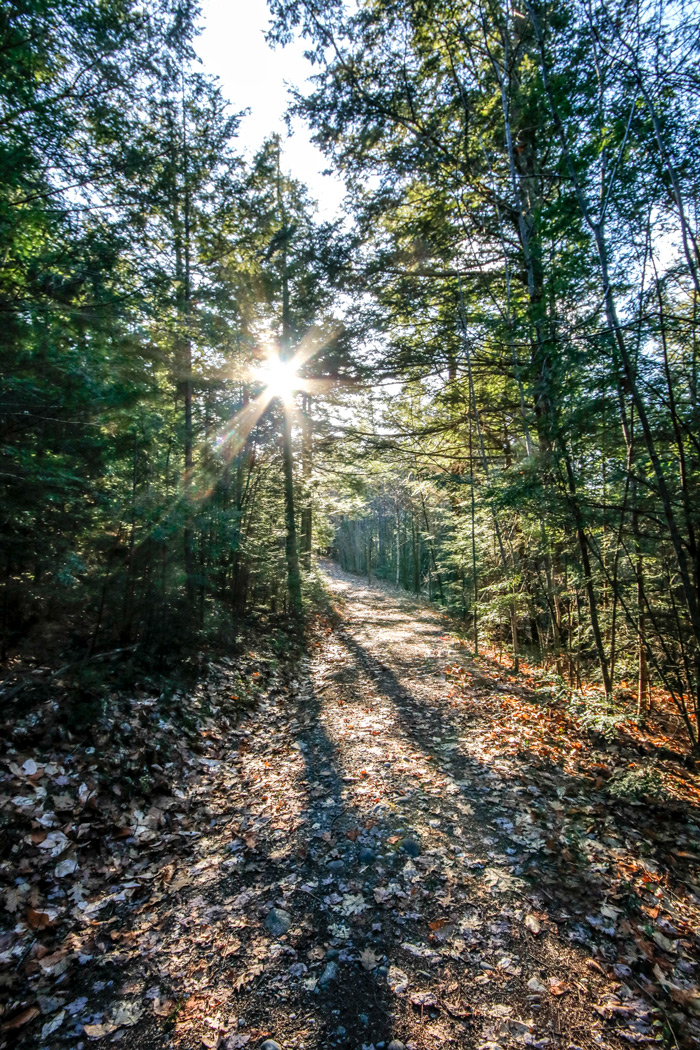 Sunburst Over The Trail