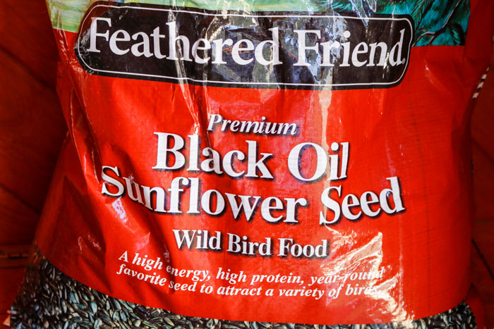 Bags Of Black Sunflower Seeds