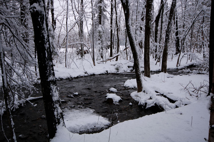 Flowing Water And Snow