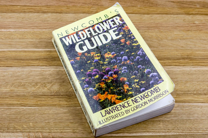 Newcombs Flower Guide Book