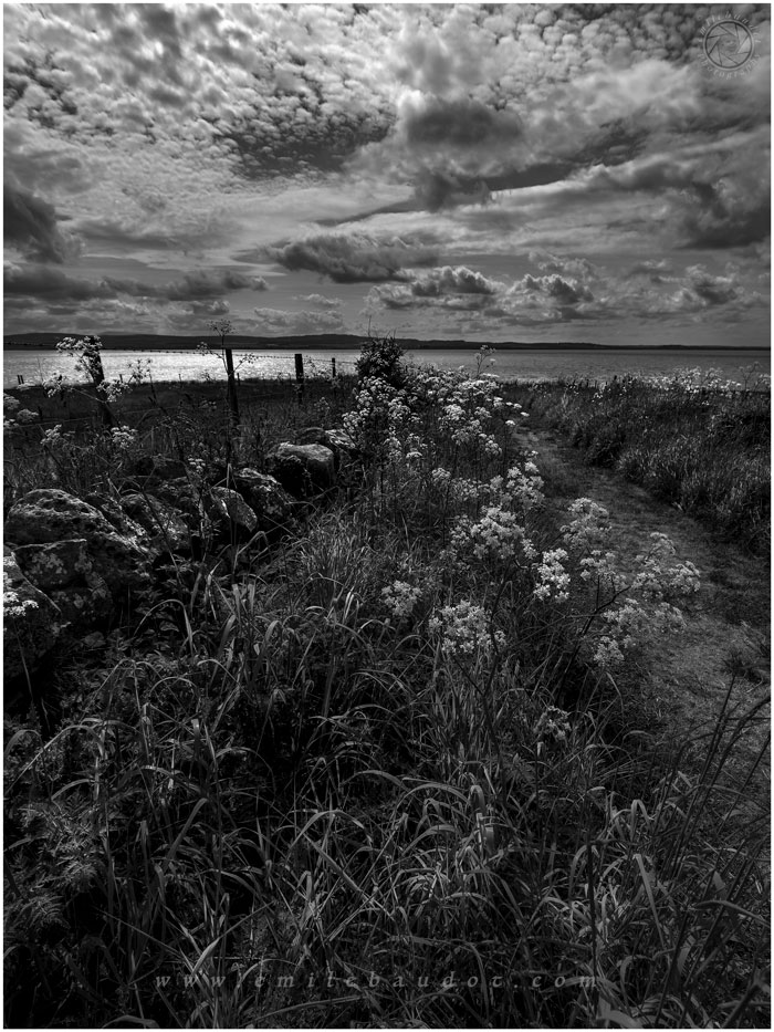 Footpath In Black And White 10-4