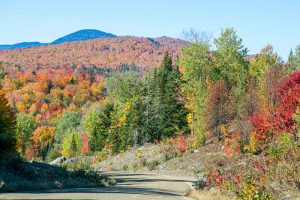 Visiting Quill Hill in the Rangeley Area of Maine During the Fall