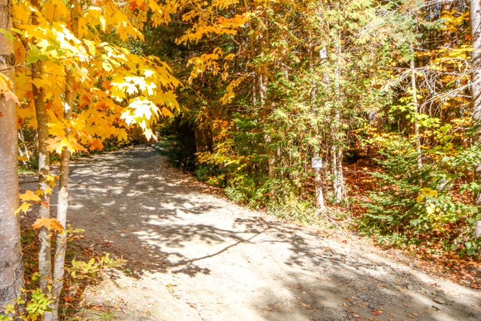 Fall Driveway 11-5