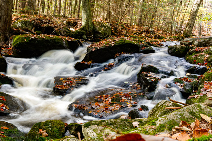 Fall Flowing Water