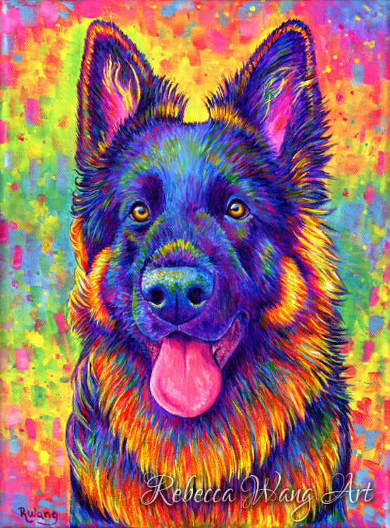 Colorful Pet Portrait - Kozmo