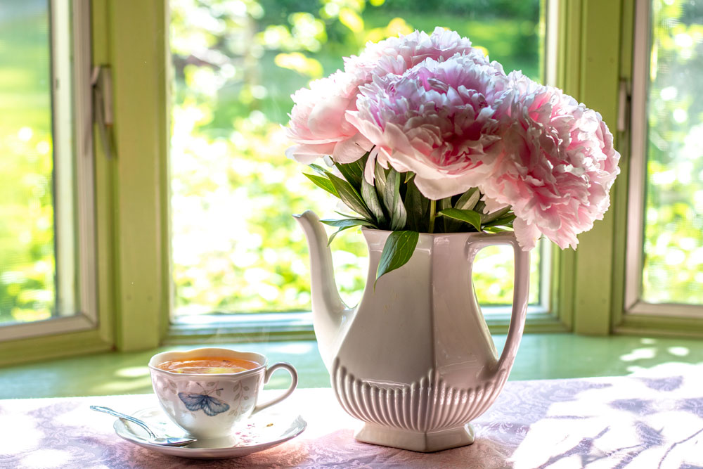 Teapot Filled With Flowers And A Teacup